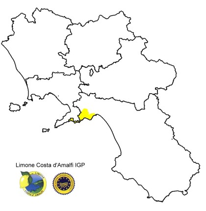 area di produzione del limone costa di amalfi
