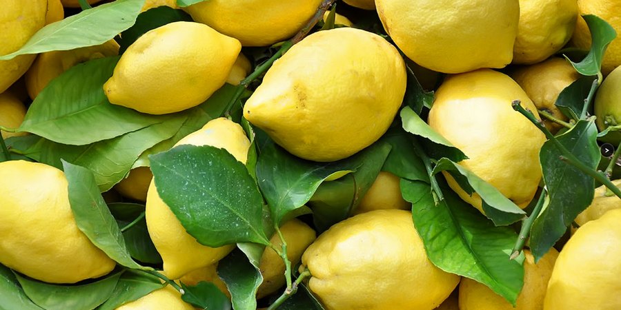 limone di amalfi