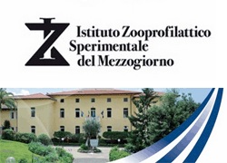 logo ISZM