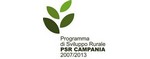 logo psr
