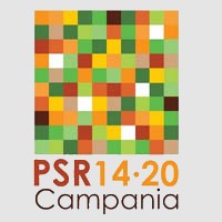 logo PSR