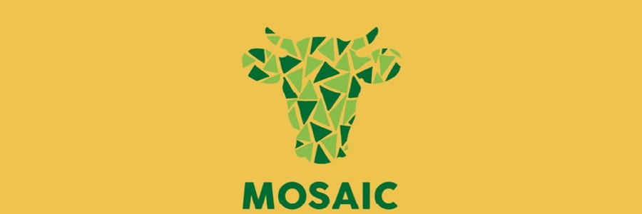 logo mosaic