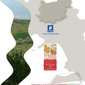 copertina del volume