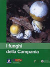 copertina del volume