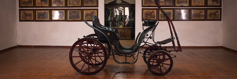 museo delle carrozze