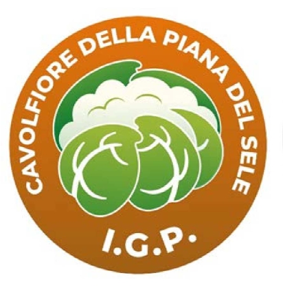 logo cavolfiore sele