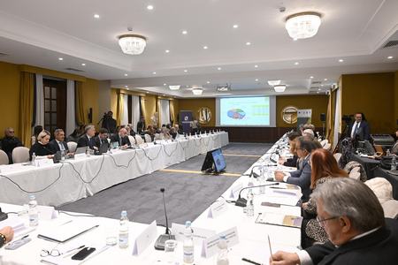 comitato di sorveglianza 2025