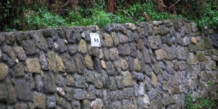 sudy visit delegazione turca