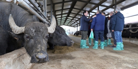 sudy visit delegazione turca