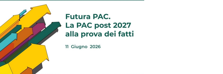 banner matera