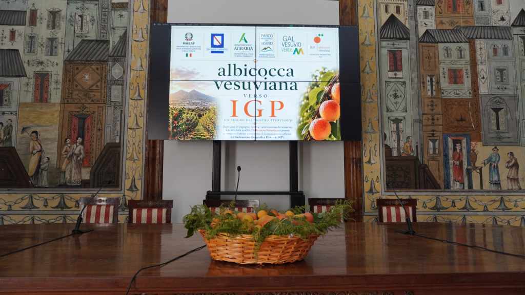 albicocca vesuviana