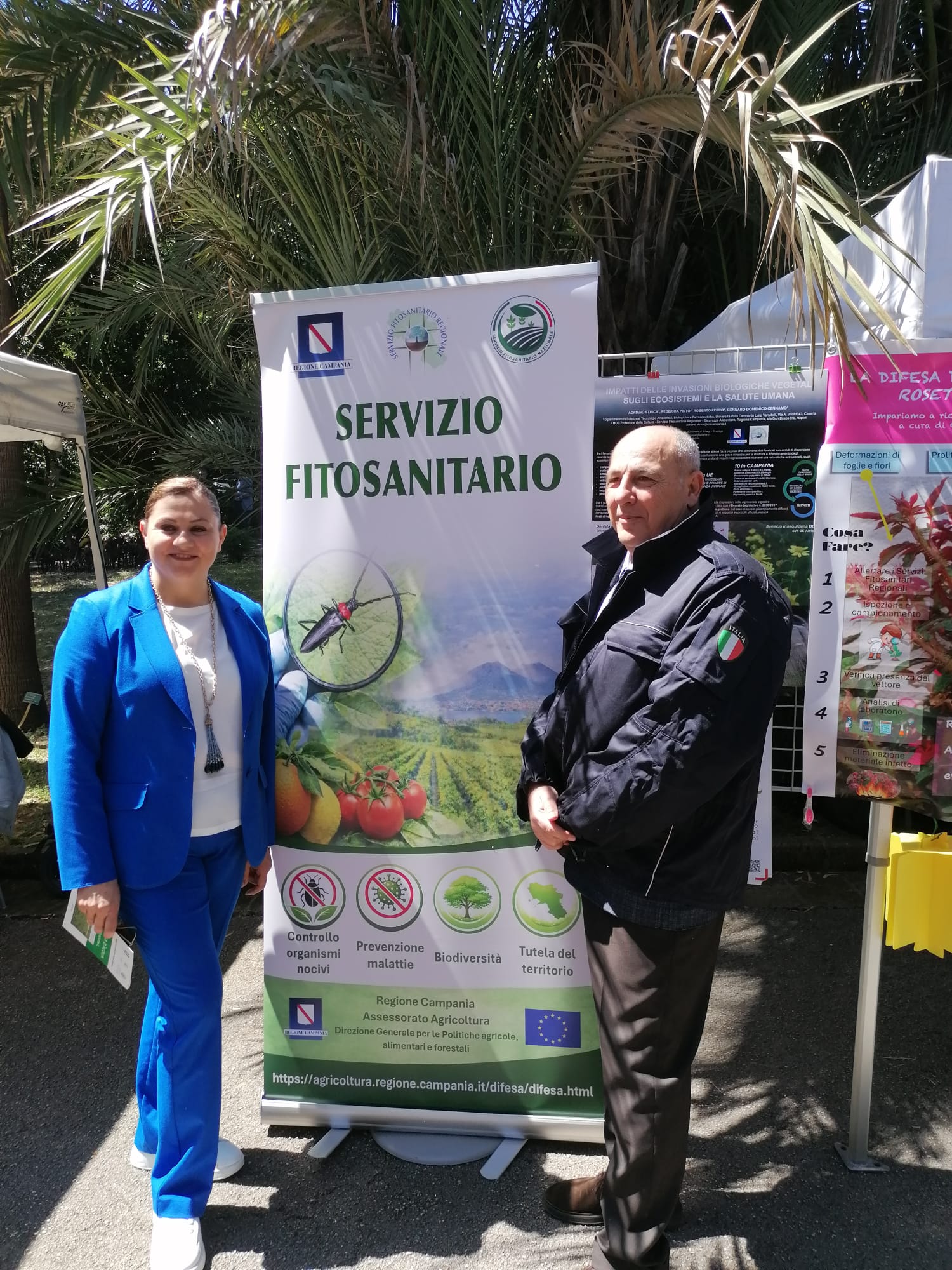 planta 2026