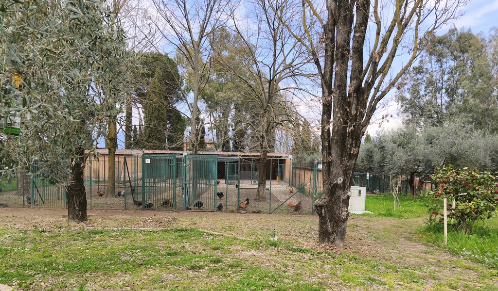 immagine della fattoria