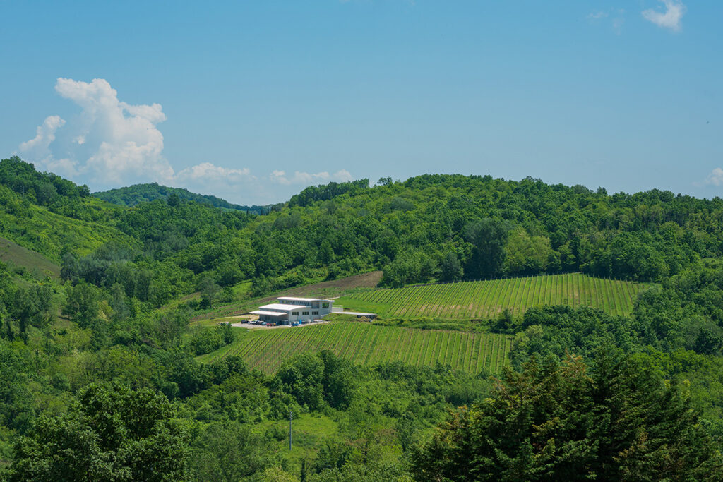immagine della fattoria