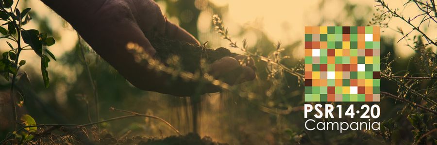 banner azienda montana