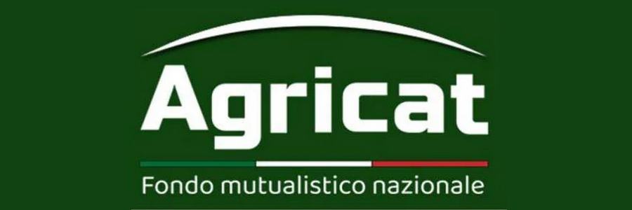 logo agricat