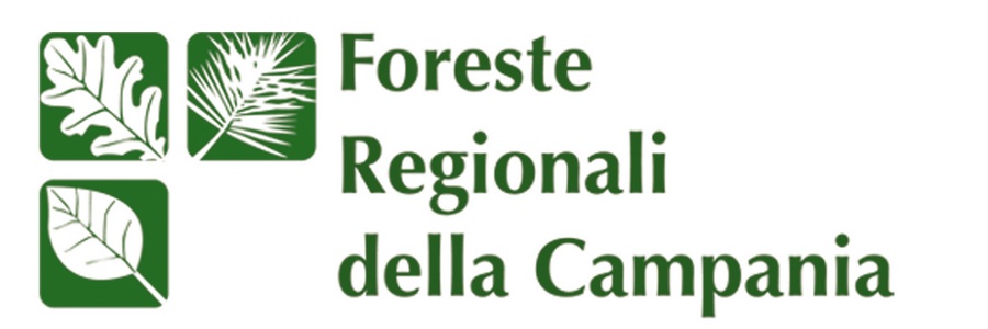 banner foreste regionali