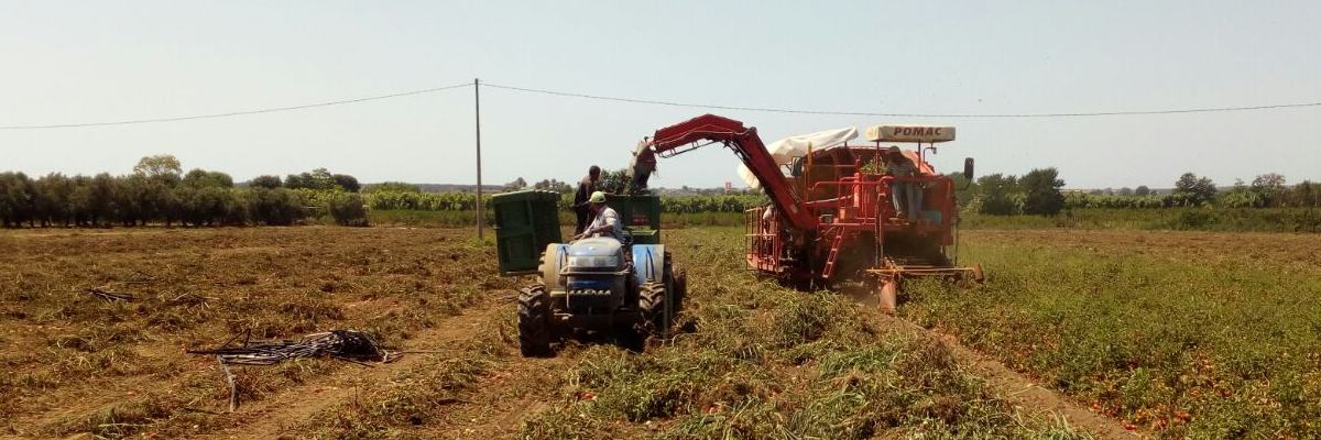 macchine agricole