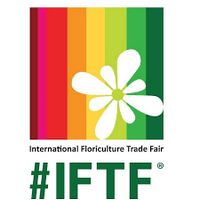 logo IFTF