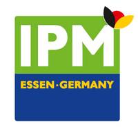 logo IPM