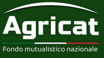 banner agricat