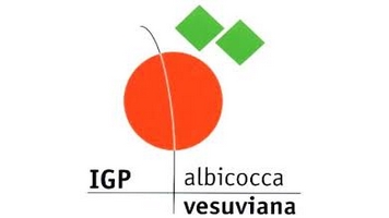 logo albicocca vesuviana