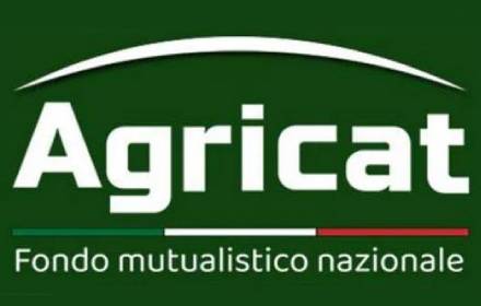 logo agricat