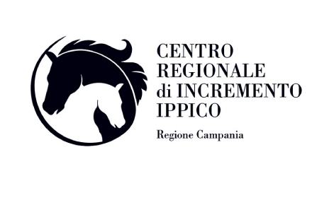 banner CRII