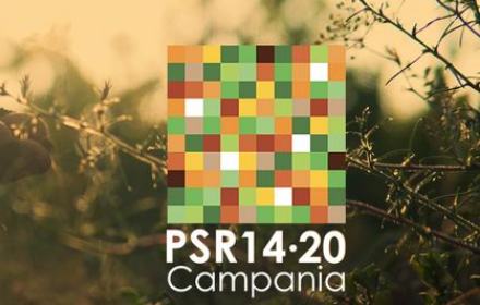 banner PSR