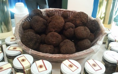 tartufo di bagnoli irpino